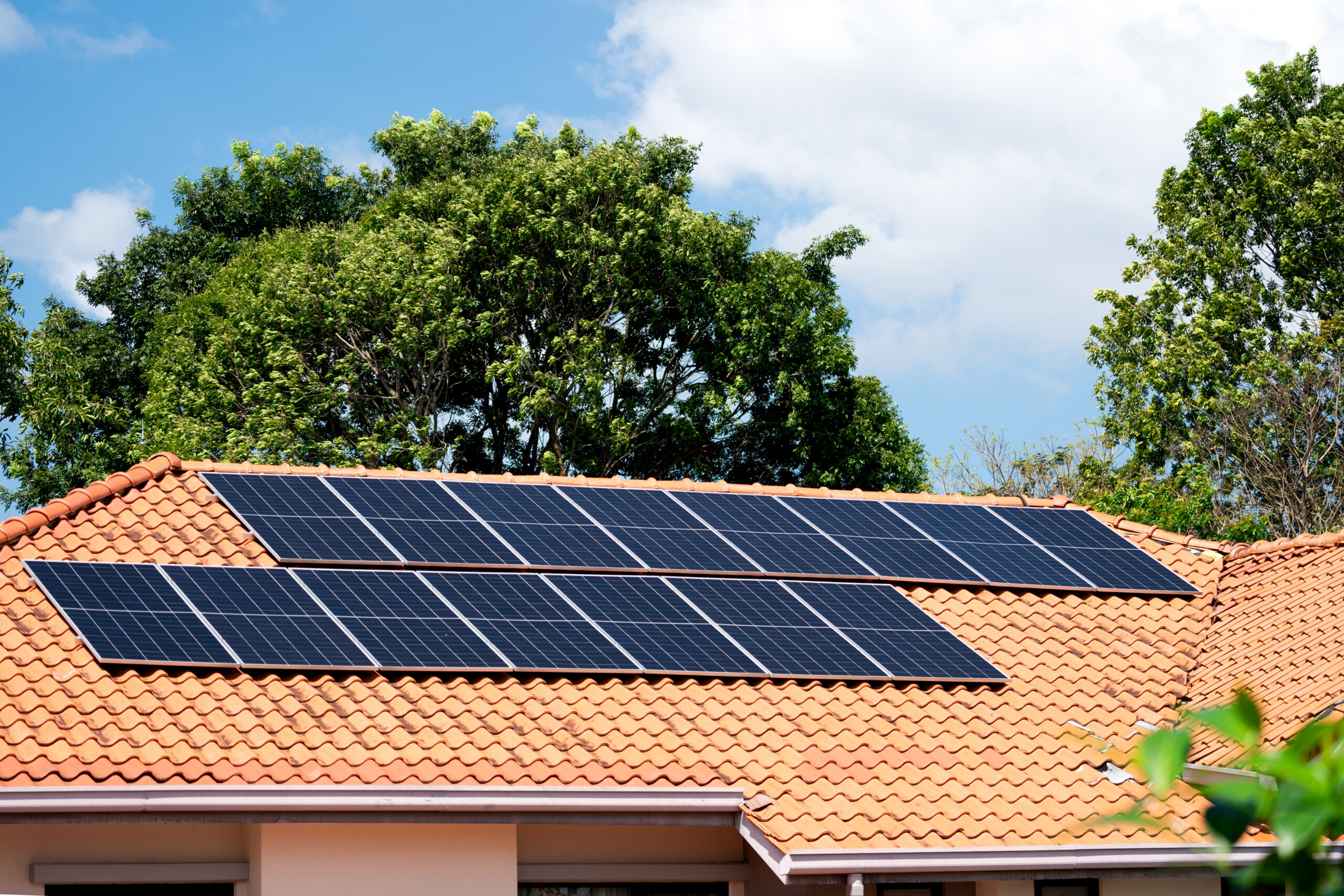 solar-panels-on-residential-roof-for-clean-energy-2026-03-20-05-55-23-utc